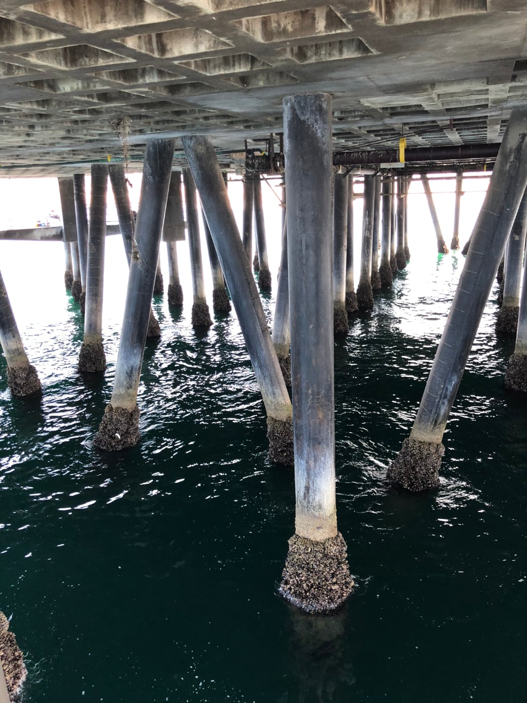 Pier Pylons