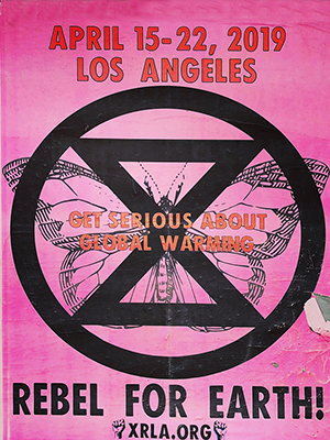 Pink Poster
